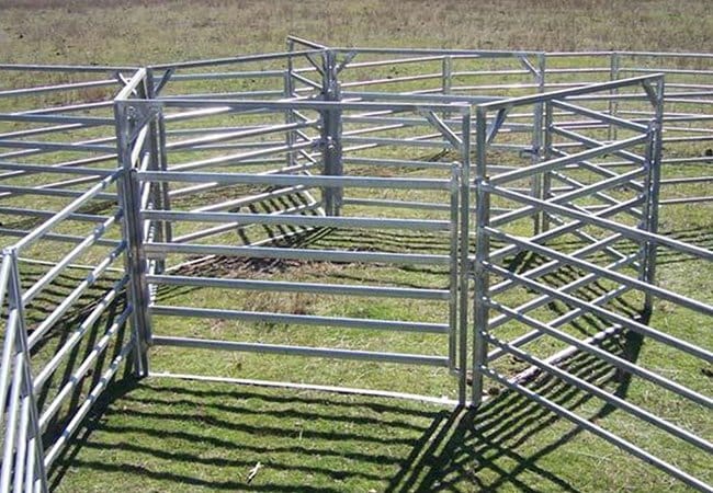 Oval Pipe Cattle Panel