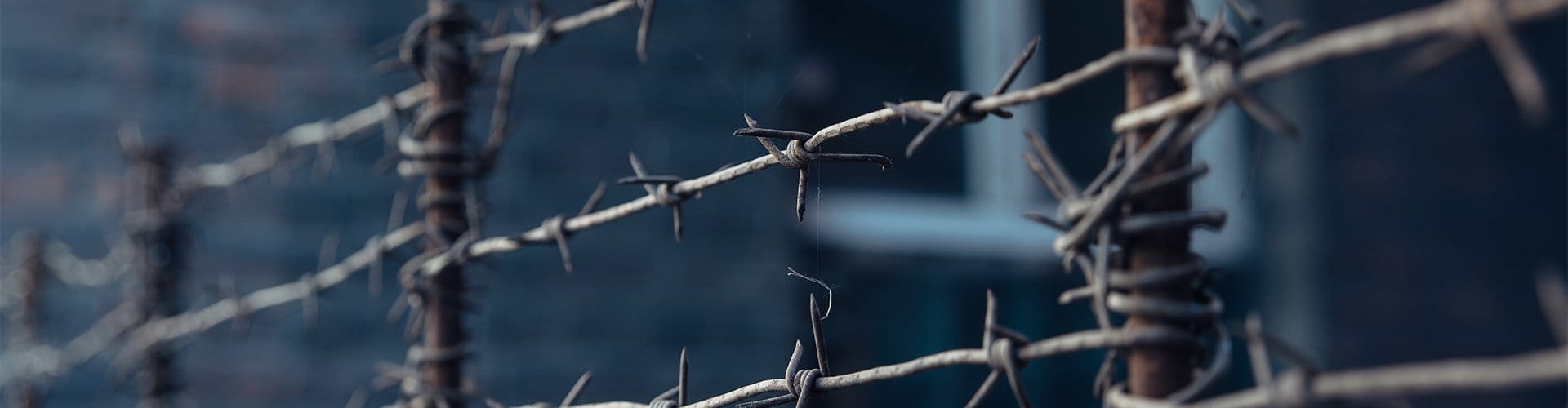 Barbed Wire
