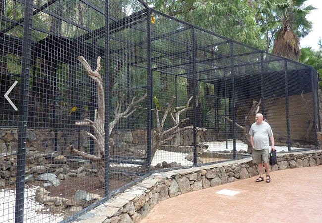 Bird Cage Fence3