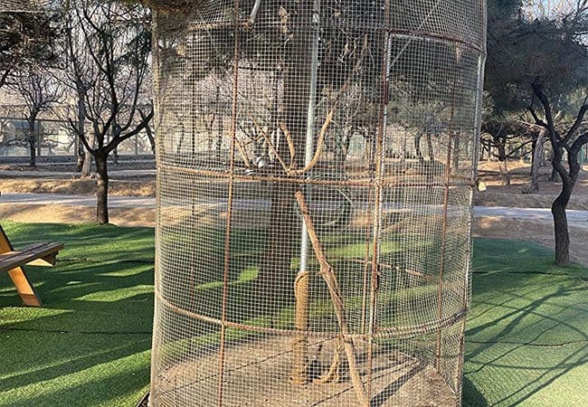 Bird Cage Fence4