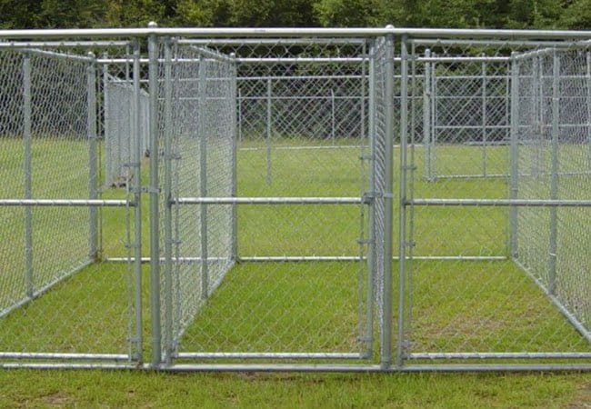 Dog Kennel5