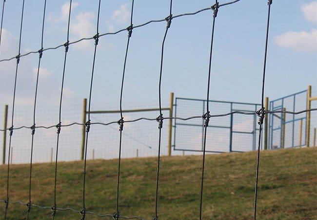 Stock Fence